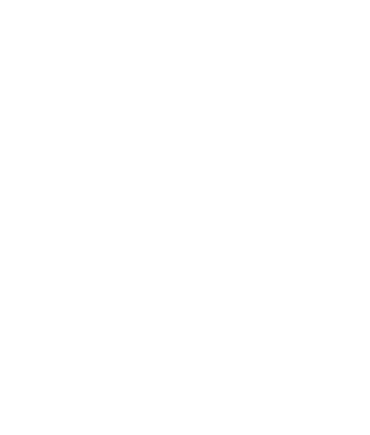 Zillion Youth Inc.